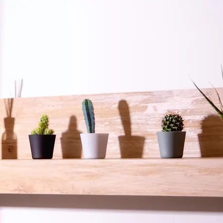 A Casa Di Dona Daire *